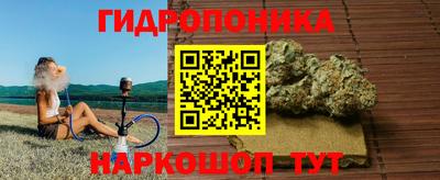 шишки Краснокаменск