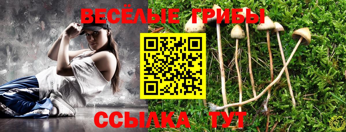 Галлюциногенные грибы мухоморы  Псилоцибиновые грибы мухоморы  Видное  Вход с VPN 