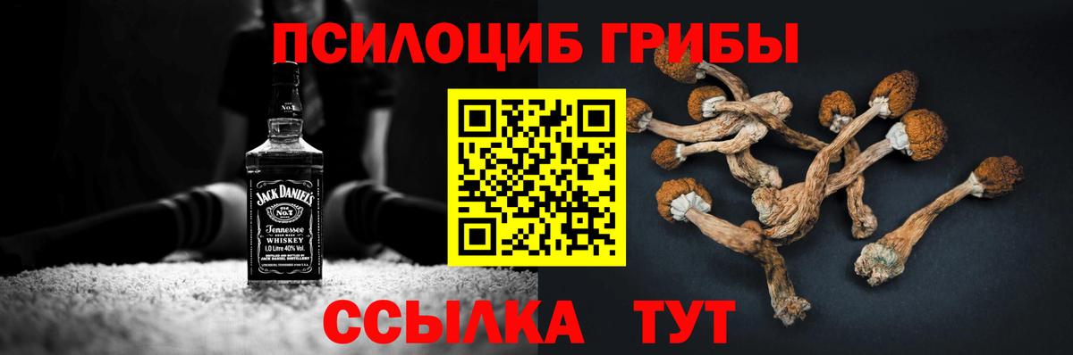 Псилоцибиновые грибы GOLDEN TEACHER Видное